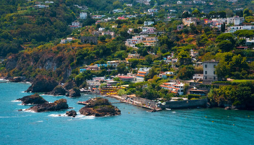 High angle view of sea by trees