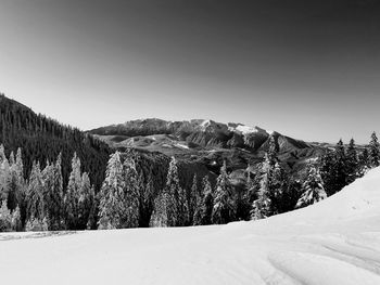 Contemplating nature and quitetness in the light of snow trying to figure out the meaning of life