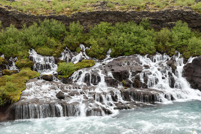 Scenic view of waterfall in forest