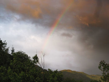 Low angle view of rainbow against sky