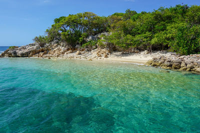 Scenic view of sea against trees