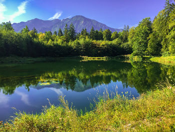 Scenic view of lake by trees against blue sky