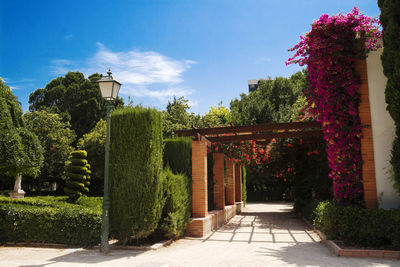 Royal garden - el jardin de viveros, el jardin real, valencia, spain. editorial
