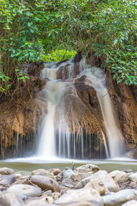 Scenic view of waterfall in forest