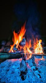 Close-up of bonfire at night