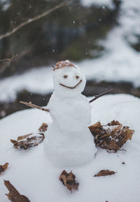 Close-up of mini snowman on land during winter