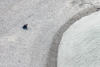 High angle view of woman on road