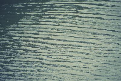 Full frame shot of water on land