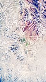 Full frame shot of frozen water