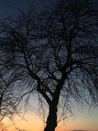 Low angle view of silhouette bare tree against sky at sunset