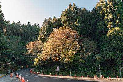 Road by trees against sky during autumn