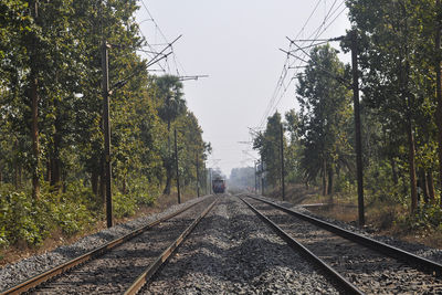 Railway tracks amidst trees against clear sky