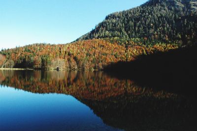 Scenic view of lake by trees against clear sky