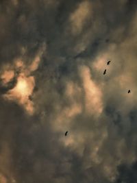 Low angle view of bird flying against cloudy sky