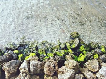 High angle view of rocks in water