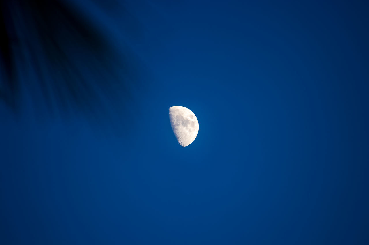 LOW ANGLE VIEW OF HALF MOON AGAINST BLUE SKY