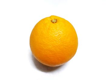 Close-up of orange against white background