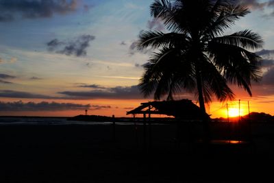 Silhouette palm trees on beach against sky during sunset