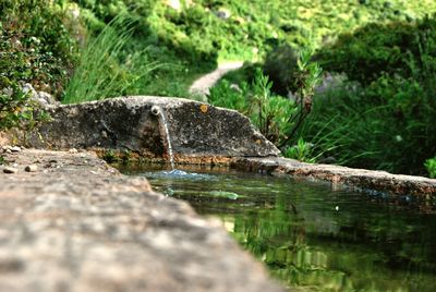 Water emitting from pipe in pond at park