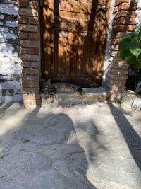 View of an abandoned building