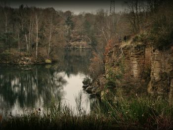 Reflection of trees in lake