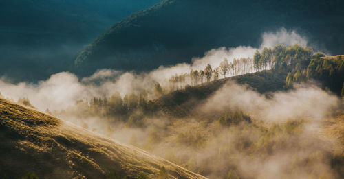 Scenic view of landscape against sky during sunrise