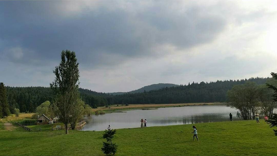 lake, tree, grass, landscape, sky, cloud - sky, nature, vacations, golf, water, people, outdoors, golf course, adults only, day