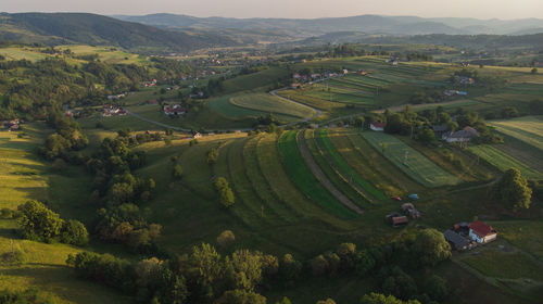 High angle view of agricultural field