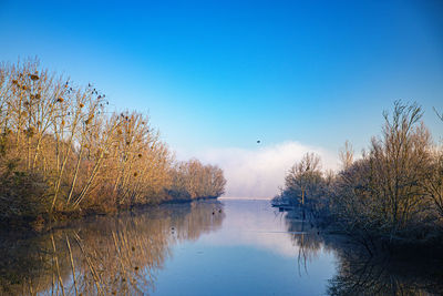 Scenic view of lake against clear blue sky