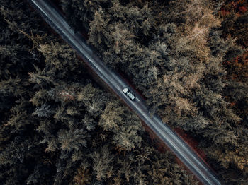 Aerial view of car on road amidst trees
