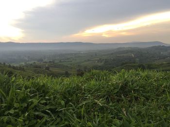 Scenic view of field against sky during sunset