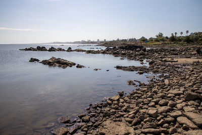 Scenic view of sea against clear sky