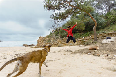 Full length of woman with dog jumping at beach