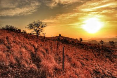 Scenic view of field against sky during sunset