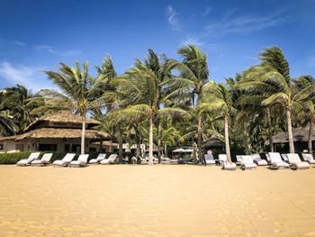 Palm trees on beach against sky