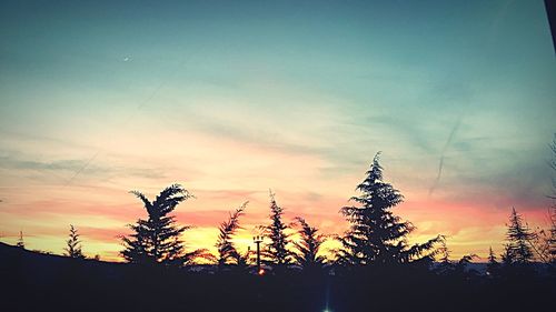 Low angle view of silhouette trees against sky during sunset