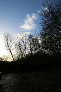 Bare trees against cloudy sky