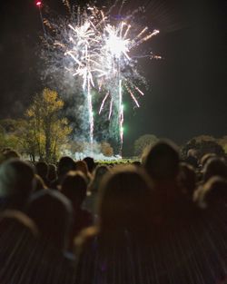 Rear view of people against firework display at park