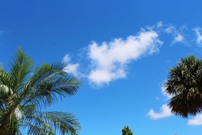 Low angle view of trees against cloudy sky