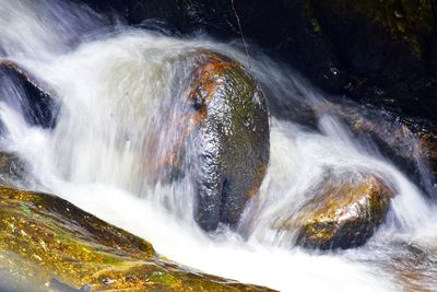 View of waterfall in forest