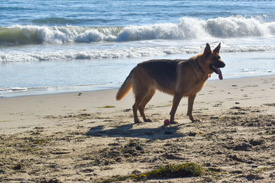 beach