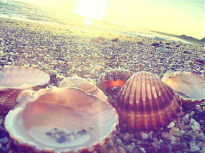 Ramadan morning beach