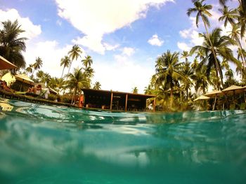 Swimming pool by trees against sky