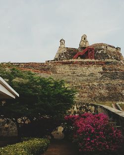 View of plants against the sky