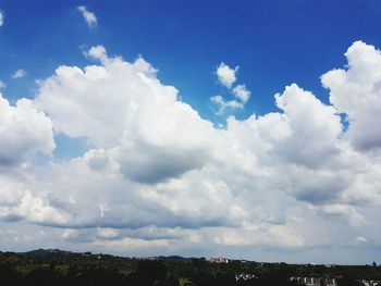 Scenic view of tree against sky