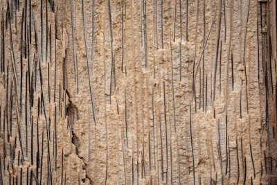 Full frame shot of wooden wall