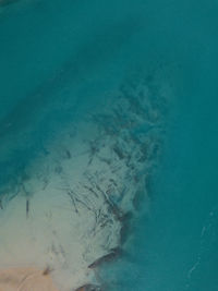 Coastal landscape in patagonia.