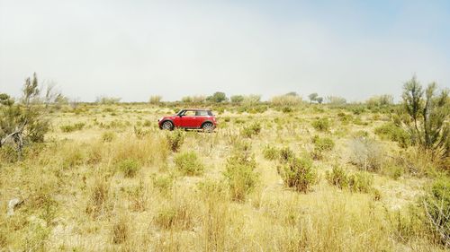 Truck on field