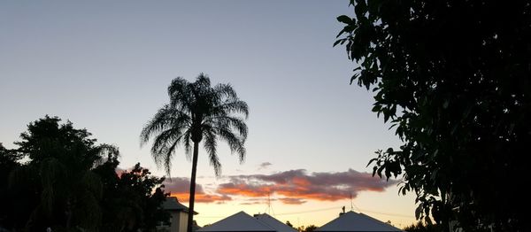 Low angle view of silhouette trees against sky