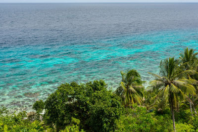 View of palm trees on beach